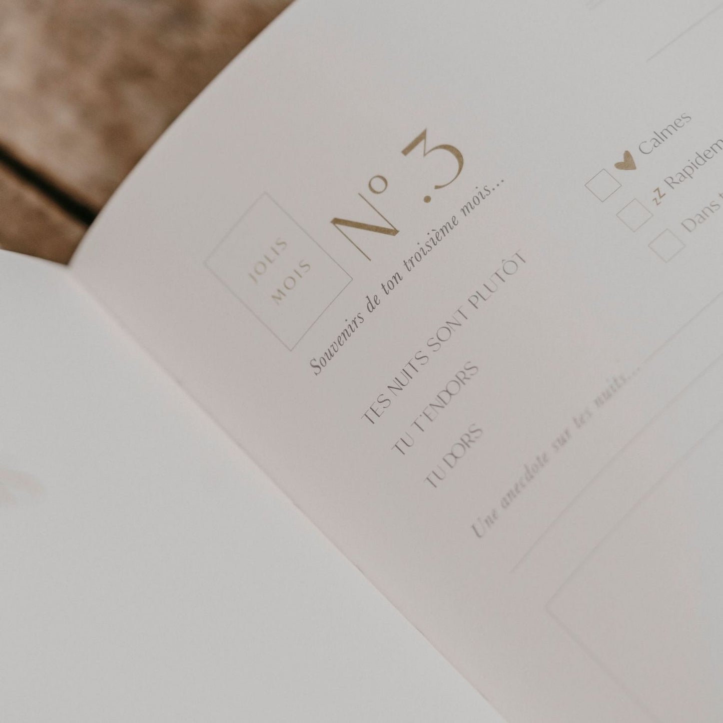 Livre de naissance Petit Amour - Sauge