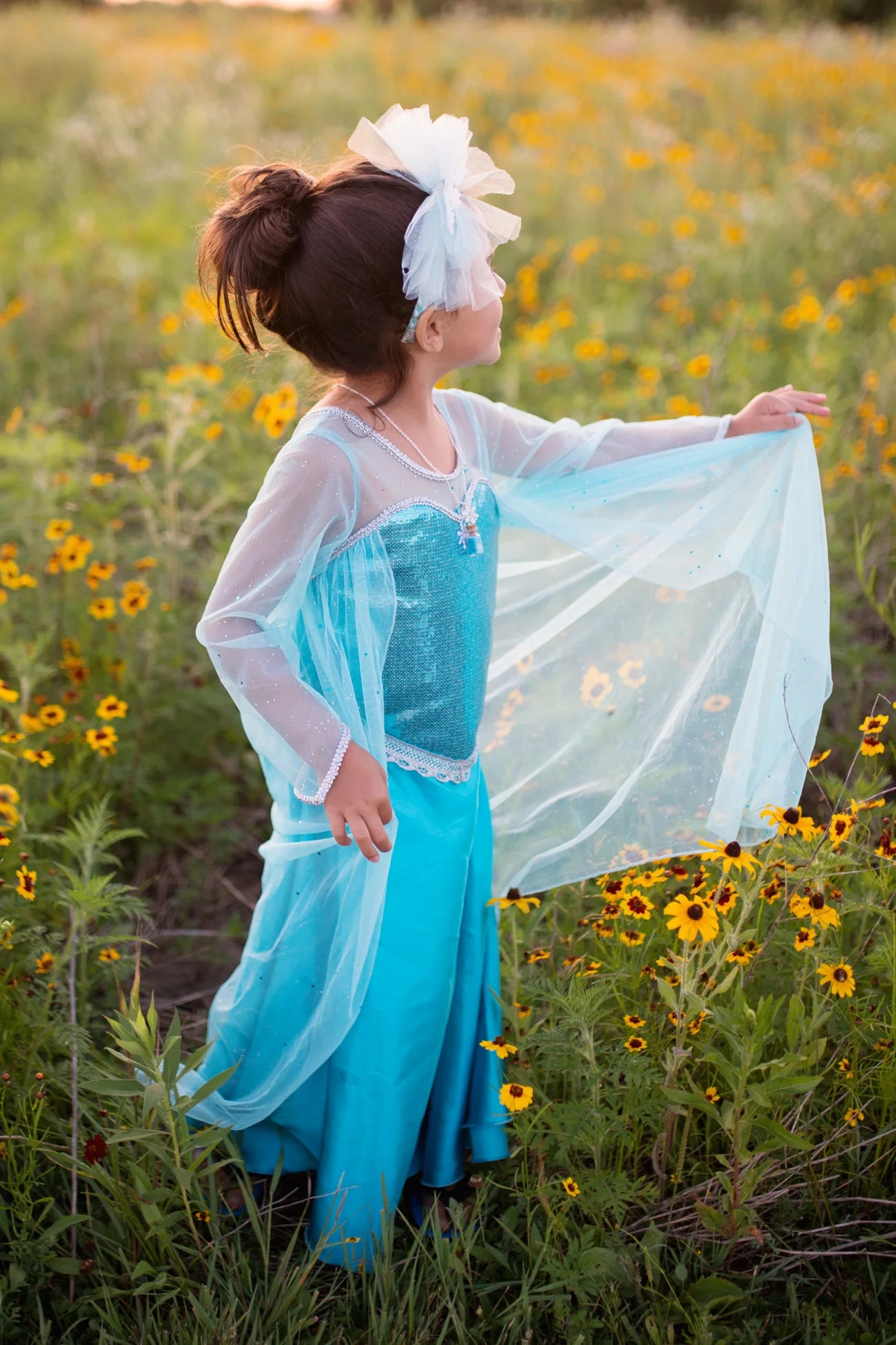 Robe Crystal Queen - Reine des Neiges