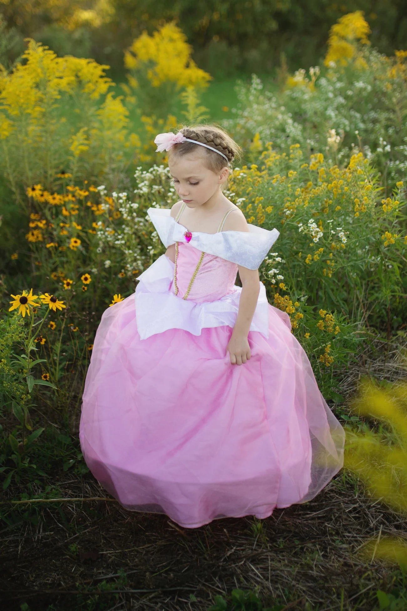 Robe de princesse - Belle au bois dormant