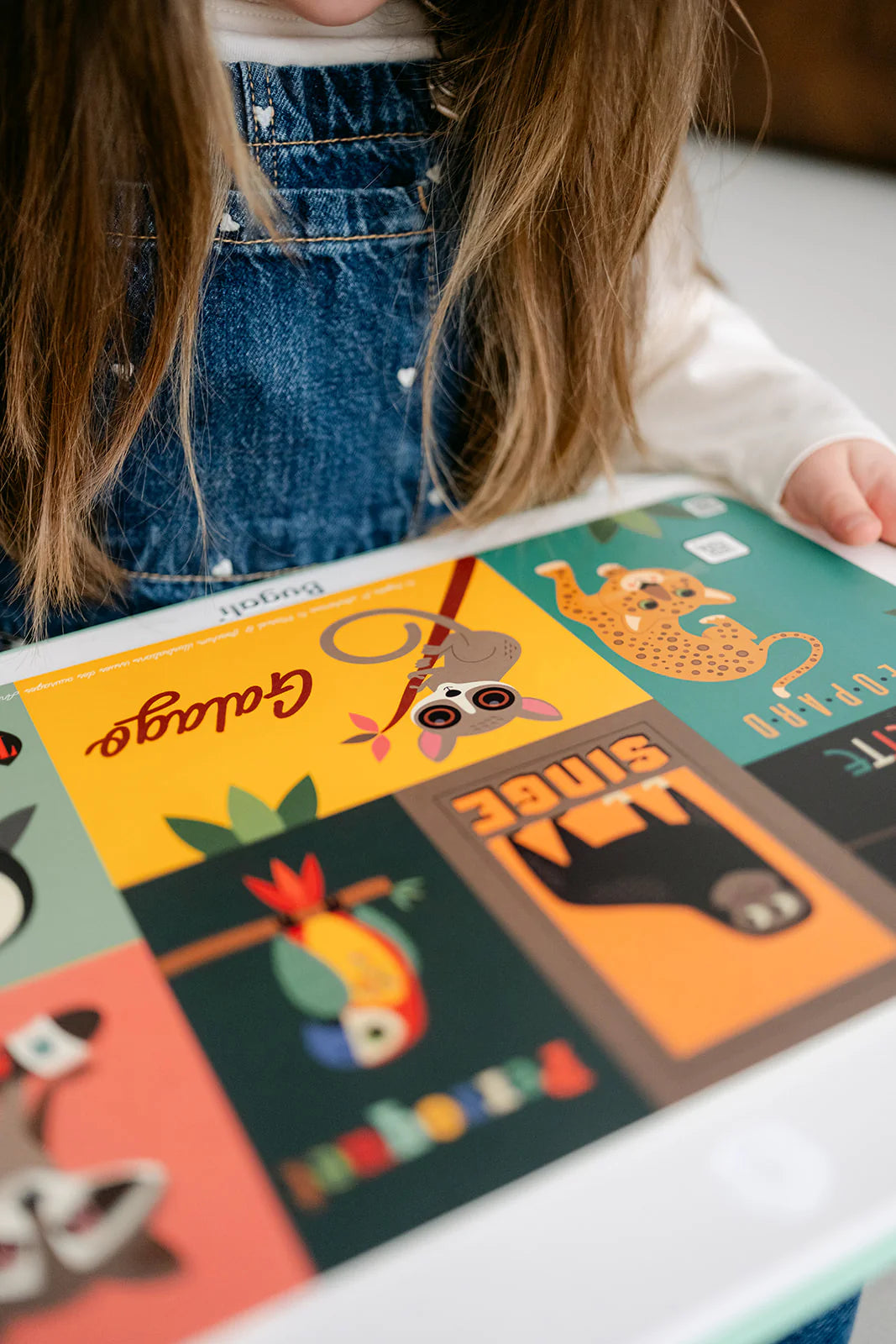 Coffret 5 cartes interactives Kézaco ? - Bugali