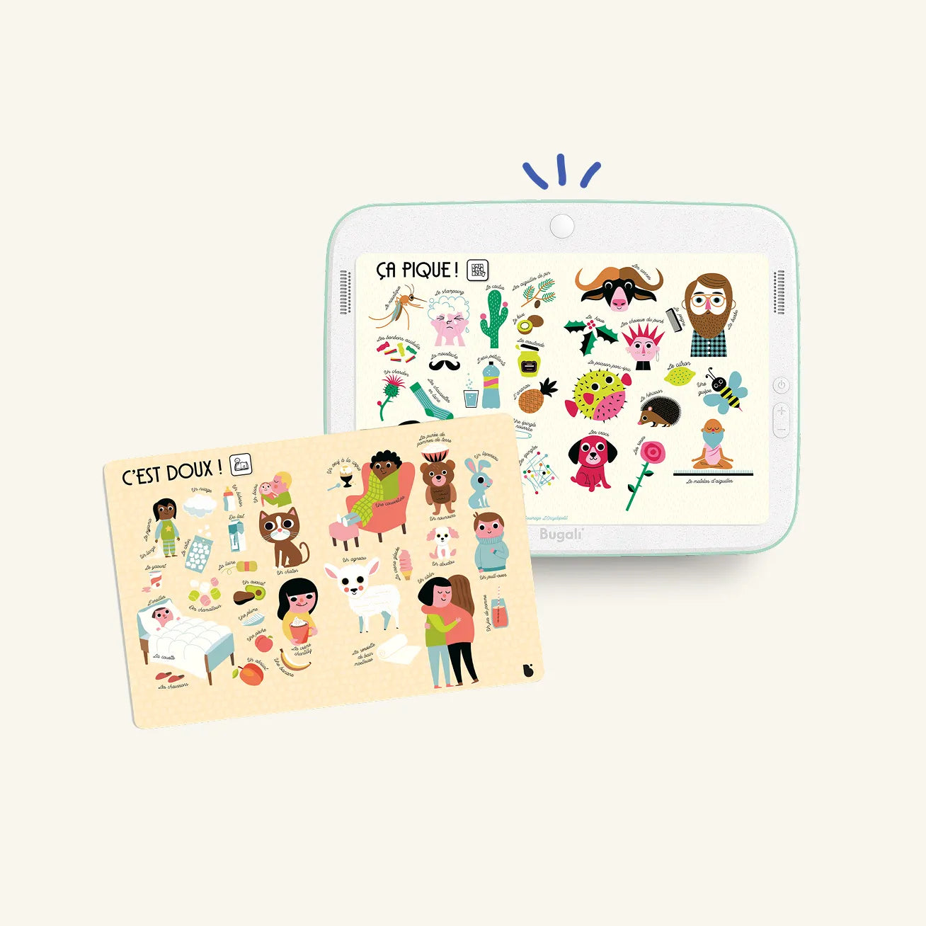 Coffret 5 cartes interactives Kézaco ? - Bugali