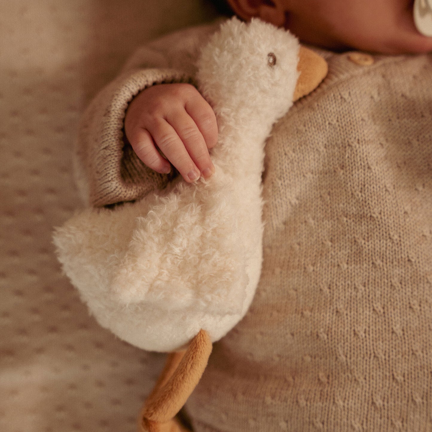 Coffret Cadeau - Newborn