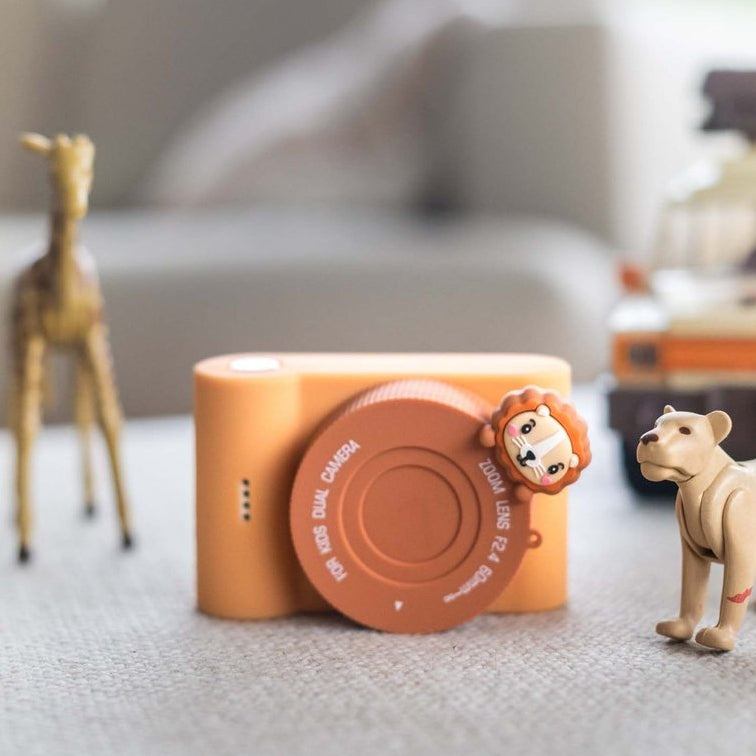 Appareil photo urbain - Lion