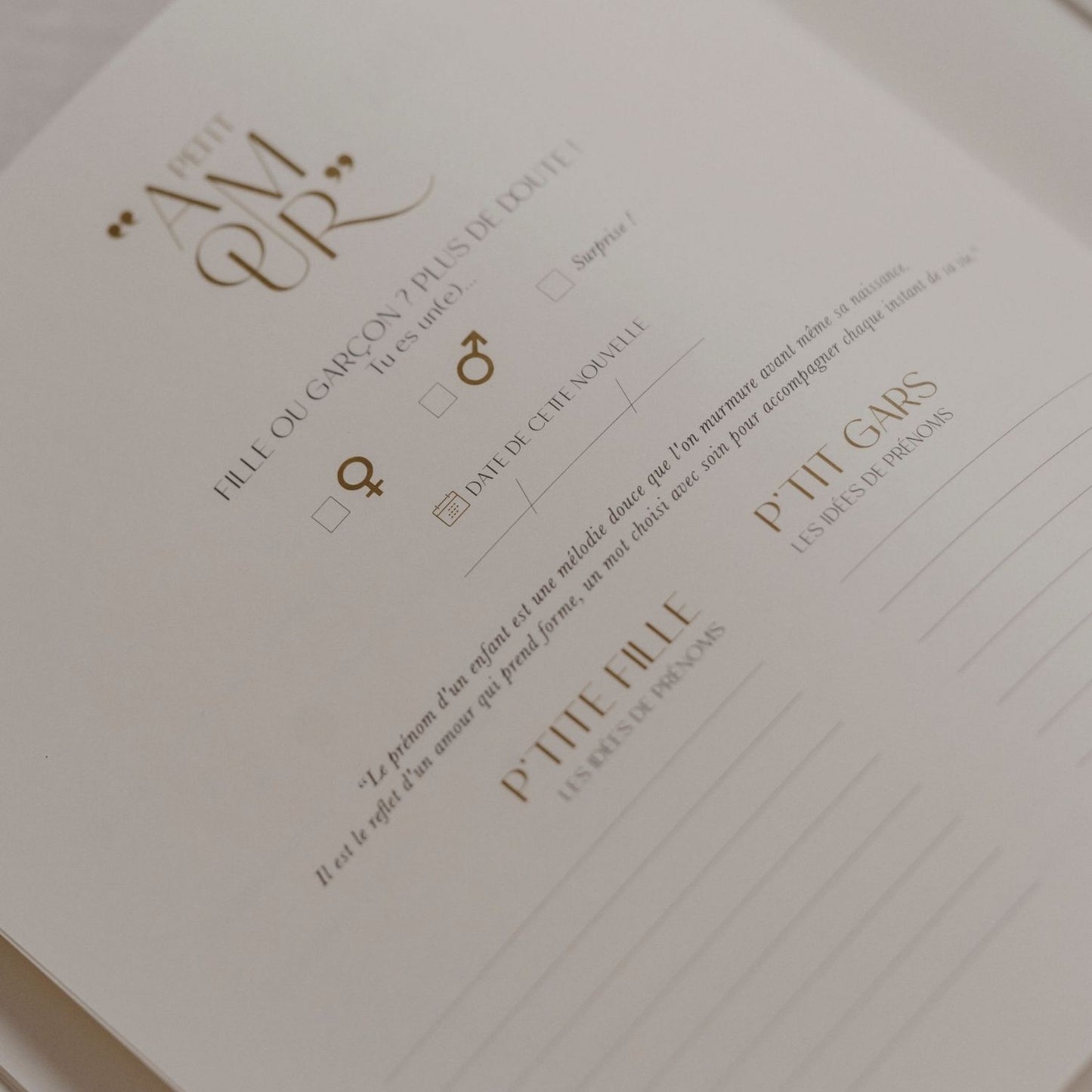 Livre de naissance Petit Amour - Sauge